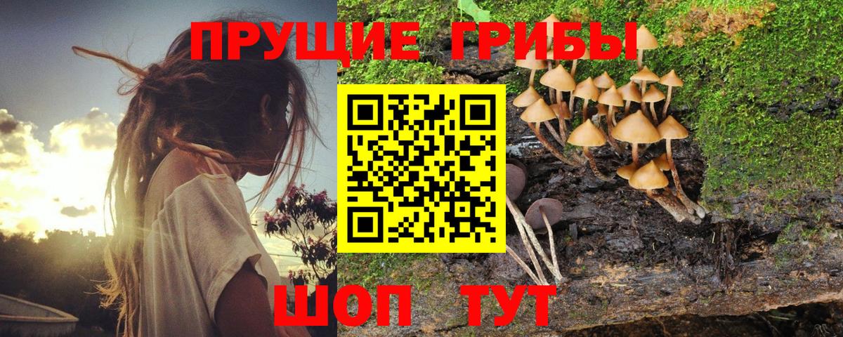 Псилоцибиновые грибы прущие грибы  Псилоцибиновые грибы MAGIC MUSHROOMS  Вход с VPN  Зеленодольск 