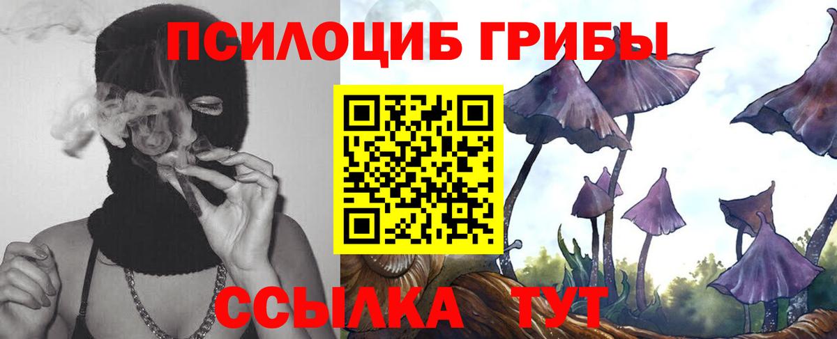 Псилоцибиновые грибы Psilocybine cubensis Зеленодольск